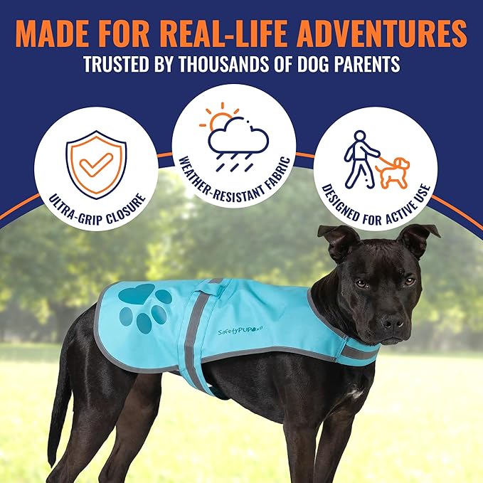 SafetyPUP XD Dog Reflective Vest – Hi-Vis Fluorescent Visibility That Helps to Safeguard Your Pet On/Off Leash in Urban & Rural Areas (Teal, Medium)
