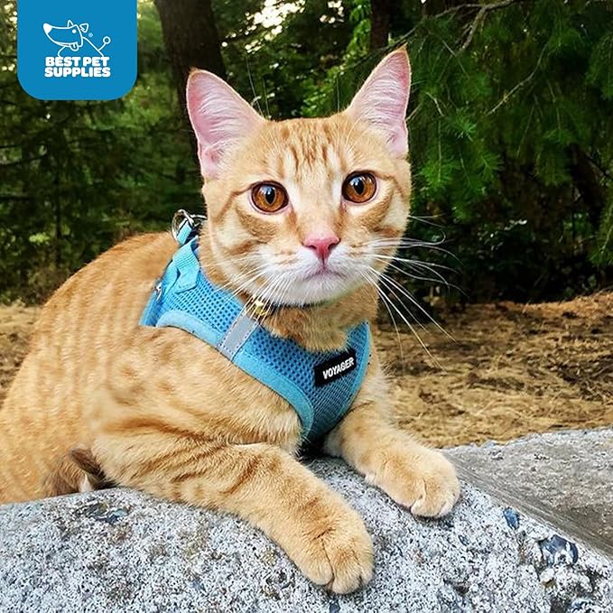 Best Pet Supplies Voyager Step-in Air Harness - All Weather Mesh, Reflective, No Pull Harness for Dogs, Cats - Secure with Hook & Loop Fastener, Buckle, Double D-Rings - Baby Blue, XS