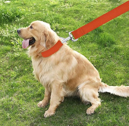 TAIAN 5 FT Strong Dog Leash, Nylon Dog Leashes for Small Medium Large Dogs Orange