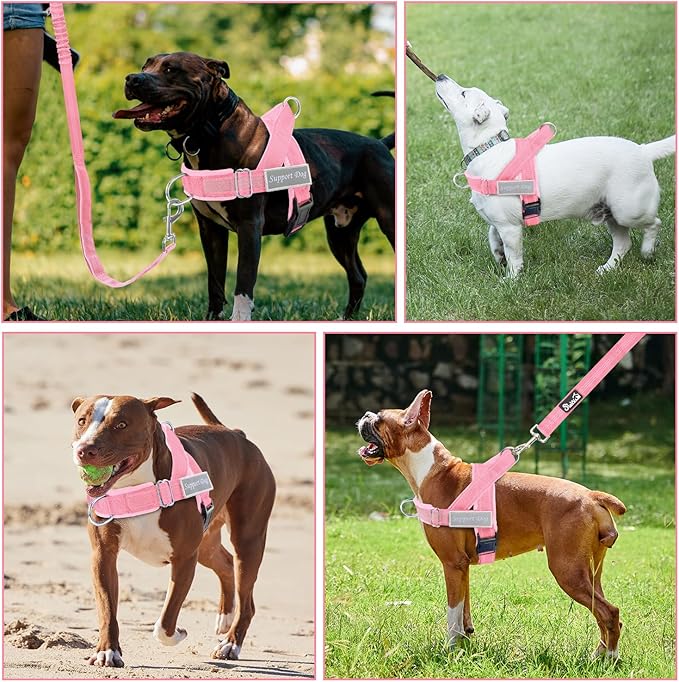 Lukovee No Pull Dog Harness & Leash Set - Heavy Duty Dog Vest Harness with Soft Padded for Medium Large Dogs, Adjustable Reflective Tactical Pet Harness for Easy Walk and Training (XL, PI)
