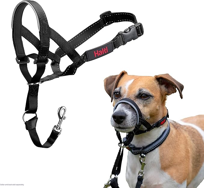 Halti Headcollar - Stop Your Dog Pulling on the Leash. Adjustable, Reflective and Lightweight, with Padded Nose Band. Dog Training Anti-Pull Collar for Small Dogs (Size 1, Black)