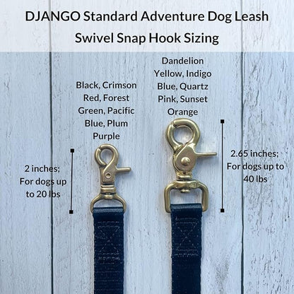 DJANGO Adventure Dog Leash – Strong, Comfortable, and Stylish Dog Leash with Solid Brass Hardware and Padded Handle - Designed for Outdoor Adventures and Everyday Use (Pacific Blue)