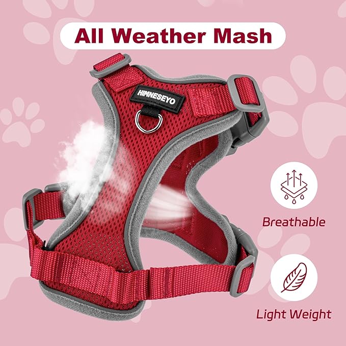 Small Dog Harness and Leash Set，No Pull Adjustable Pet Harness for Small Dogs ，Breathable Mesh Reflective Dog Vest Harness (Red, XXS)