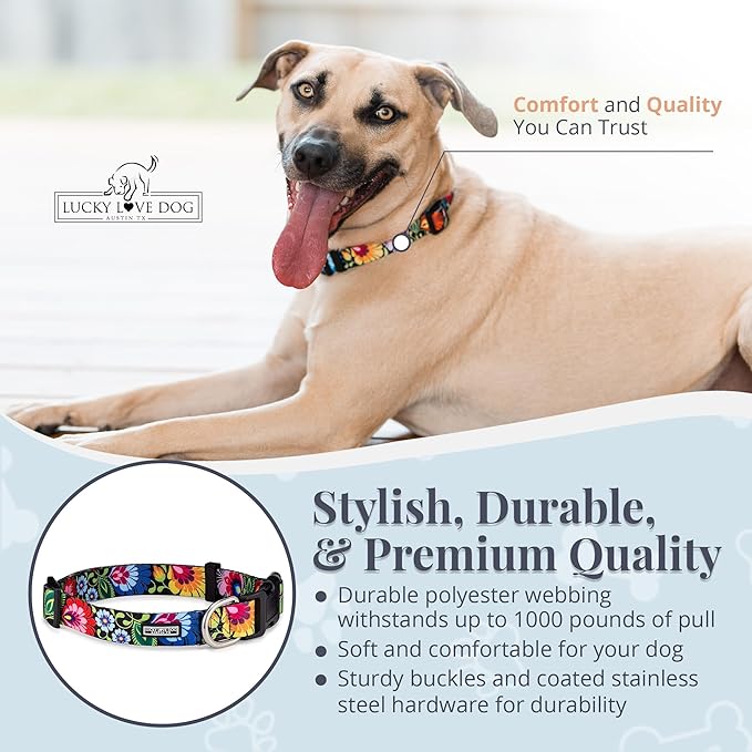 Lucky Love Dog - Adjustable Dog Collar with Easy Click Buckle for Small Ones, Durable, & Comfortable for Male & Female Dogs, Pet Collar for Puppies & Adult Dogs - Blackbird, X-Small