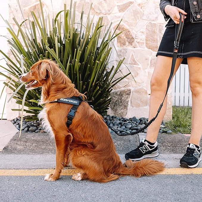 EzyDog Express Dog Harness - Adjustable Dog Harness for Large, Medium, and Small Dogs with Padded Ergonomic Anti-Chafing Design, Grip Handle, & Easy Side Buckle (Gray, XS)