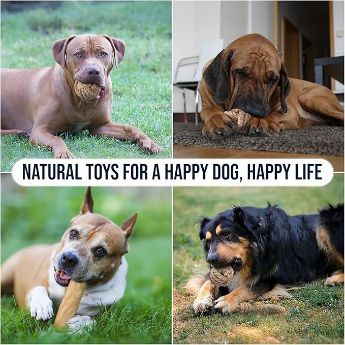 3Pcs Natural Coffee Wood Dog Chew and Hemp Ball Toys for Large & XL Dog Over 70lbs - 100% Organic Toys for Teeth Cleaning, Reduces Stress, Mental Stimulation