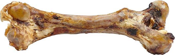 EcoKind Premium Giant Mastedon Femur for Dogs | 1 Giant Bone | All Natural for Large Dogs and Aggressive Chewers