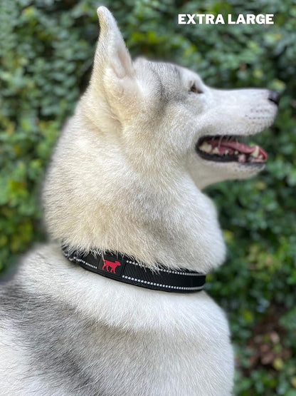 Tuff Pupper Heavy Duty Dog Collar with Handle | Ballistic Nylon Heavy Duty Collar | Padded Reflective Dog Collar with Adjustable Stainless Steel Hardware | Convenient Sizing for All Breeds