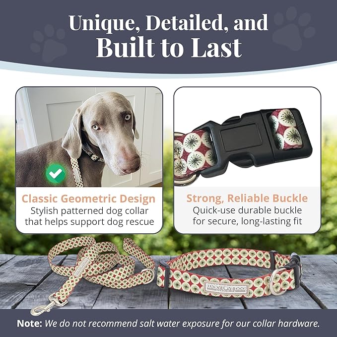 Lucky Love Dog - Easy Click Buckle Dog Collar with Leash Set Combo, Durable & Comfortable for Male & Female Dogs, Pet Collar for Small Dogs, Secure Fit - Pongo Combo, XS