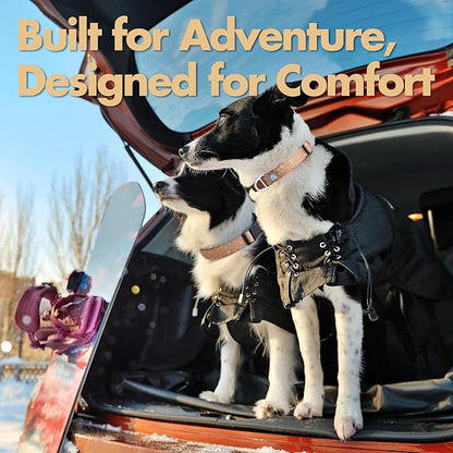 Fall Dog Collar, Cute Star Pattern Brown Collars for Girl & Boy,Reflective,Soft Padded Neoprene,Fully Adjustable,Durable & Lightweight Large Dog Collar, (Star, L)