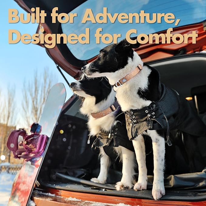Fall Dog Collar, Cute Star Pattern Brown Collars for Girl & Boy,Reflective,Soft Padded Neoprene,Fully Adjustable,Durable & Lightweight Medium Dog Collar, (Star, M)