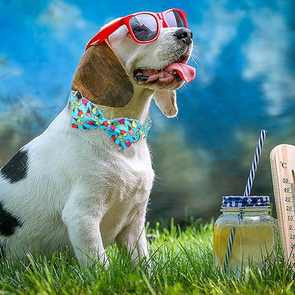 Summer Dog Collar with Bow Tie, Cotton Cute Bowtie Dog Collar, Summer Bowtie Collar for X-Large Boy Girl Dog, Comfortable Blue Dog Collar with Metal Buckle, XL