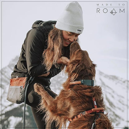 MADE TO ROAM Premium Everyday Leash - Ultra Soft Dog Leash with Aviation Aluminum Carabiner for Small, Medium, Large Dogs - Eucalyptic Glow, 4ft (Metal Clamps)