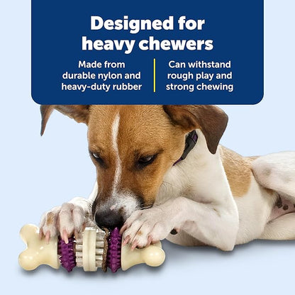 PetSafe® Busy Buddy® Bristle Bone®, Medium, Helps Keep Your Dog's Teeth Clean, Long-Lasting Playtime