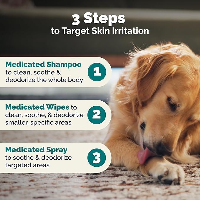 Vetnique Dermabliss Chlorhexidine for Dogs Skin Health - Antibacterial Medicated Spray - for Skin Infections & Irritation, Hot Spots & Redness Relief (Medicated Spray, 8oz)