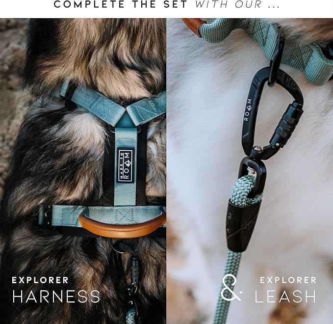 Made to ROAM Premium Explorer Control Collar - Adjustable Heavy Duty Nylon Dog Collar with Quick-Release Metal Buckle and Handle (Virginia Mountains, Control Size 4)