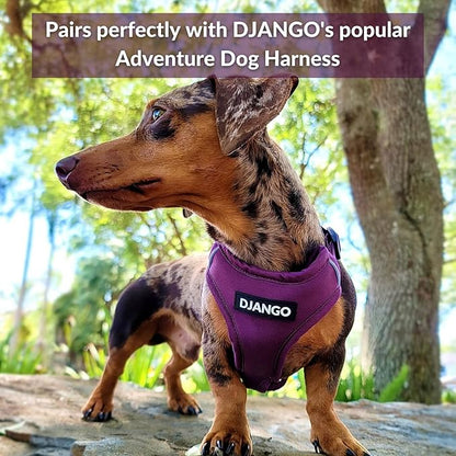 DJANGO Adventure Dog Leash – Strong, Comfortable, and Stylish Dog Leash with Solid Brass Hardware and Padded Handle - Designed for Outdoor Adventures and Everyday Use (Plum Purple)