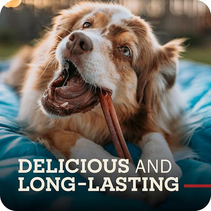 Redbarn Pet Products 12" Braided Bully Sticks for Dogs, Pack of 25
