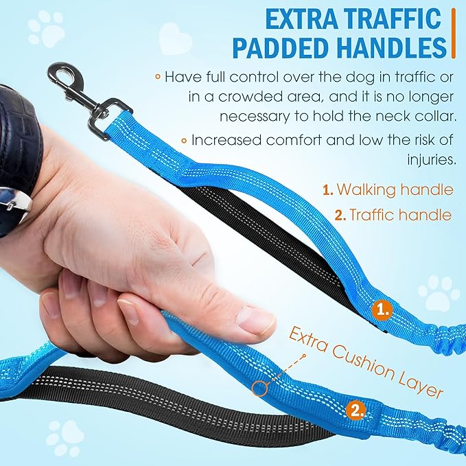 Hands Free Dog Leash with Waist Belt – No-Pull Bungee, Dual Padded Handles & Zipper Pouch for Running, Walking & Training – Adjustable Waist Leash for Large & Medium Dogs (Sky Blue)