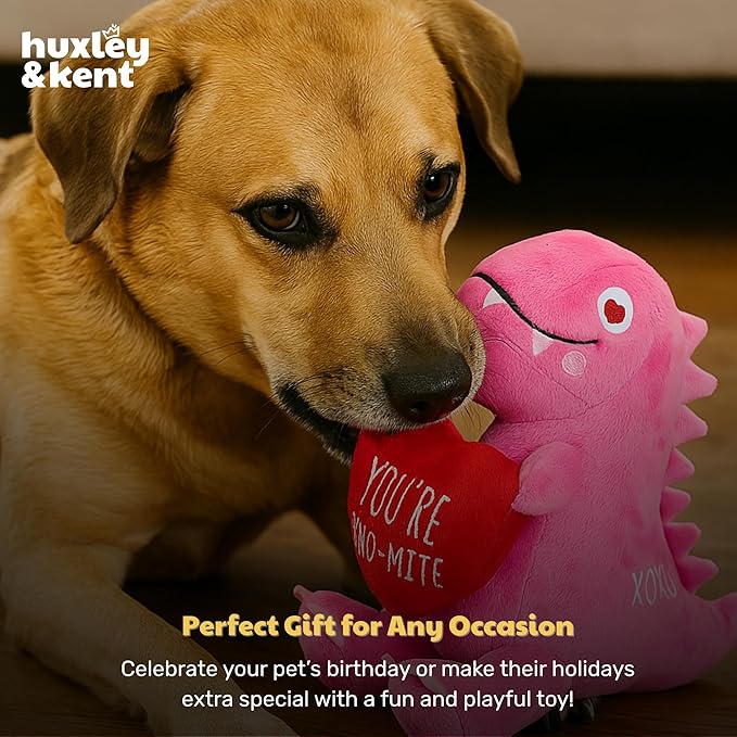 Huxley & Kent Funny Dog Toy w/Squeaker – Valentine's DayPower Plush Squeaky Dog Toys for Small, Medium & Large Dogs – Soft Stuffed Animal for Indoor Play & Fetch - You're Dino-Mite, One Size