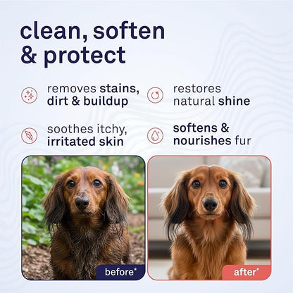 Petpost | Argan Shampoo for Dogs. Dog Shampoo with Argan Oil & Aloe. Moisturizes Dry Skin, Softens Coat, Restores Shine. 8 oz