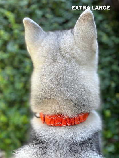 Tuff Pupper Heavy Duty Dog Collar with Handle | Ballistic Nylon Heavy Duty Collar | Padded Reflective Dog Collar with Adjustable Stainless Steel Hardware | Convenient Sizing for All Breeds