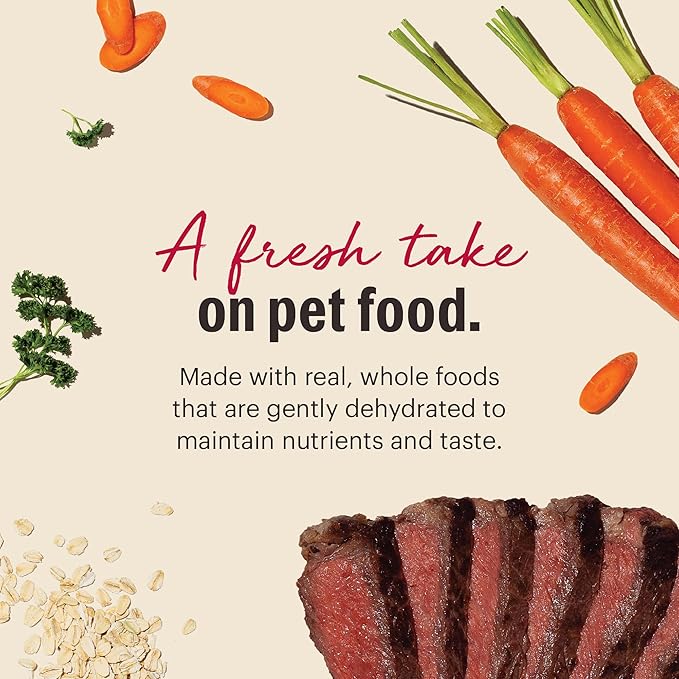 The Honest Kitchen Human Grade Wholemade™ Dehydrated Whole Grain Beef & Oat Dog Food - Complete & Balanced Meal or Topper - 4 lb Box