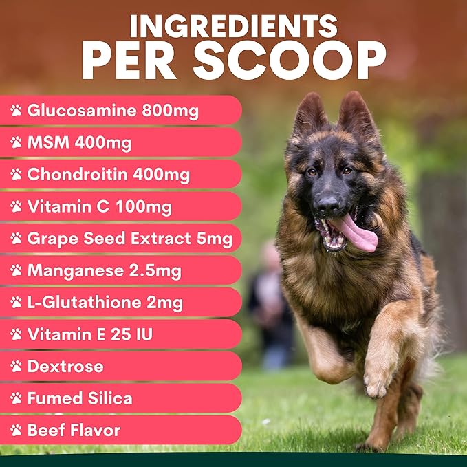 Petz Park Glucosamine for Dogs - Hip & Joint Support Powder with Chondroitin & MSM - Arthritis Pain Relief, Hip Dysplasia Treatment - 800mg Glucosamine - 45 Scoops