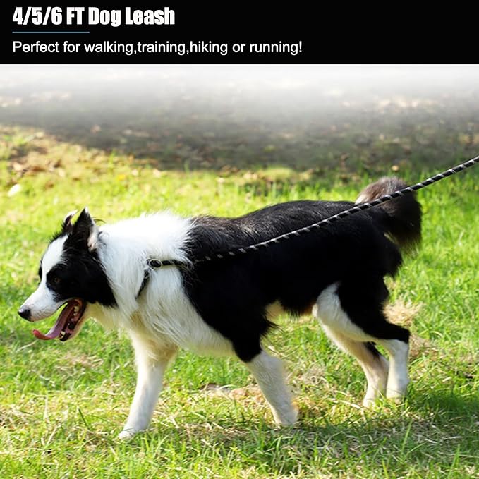 2 Pack Dog Leash, 4/5//6 FT Heavy Duty Nylon Rope Pet Leashes with Comfortable Padded Handle, Reflective Dog Leashes for Small Medium and Large Dogs (4FT-1/2,Black/Orange)