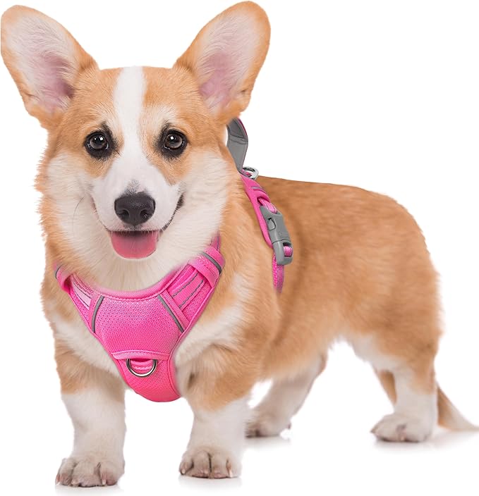 BARKBAY No Pull Dog Harness Large Reflective Dog Harness with Front Clip and Easy Control Handle for Walking Training Running with ID tag Pocket(Pink,M)