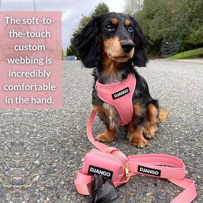 DJANGO Adventure Dog Leash – Strong, Comfortable, and Stylish Dog Leash with Solid Brass Hardware and Padded Handle - Designed for Outdoor Adventures and Everyday Use (Quartz Pink)