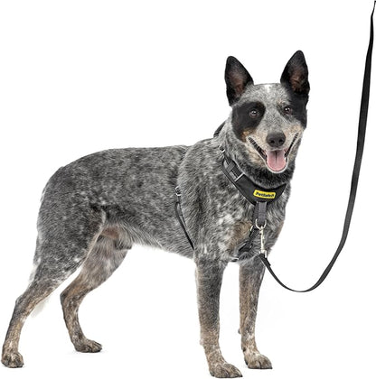 PetSafe Easy Walk Comfort No-Pull Dog Harness - Better Walk Training Harness - Full Body Padded Design - Durable Fabric - 5 Point Adjustable Fit - Everyday Leash Training - Black - Medium/Large