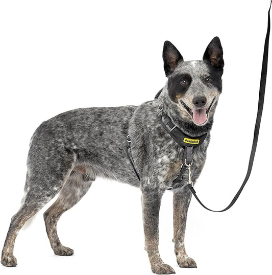 PetSafe Easy Walk Comfort No-Pull Dog Harness - Better Walk Training Harness - Full Body Padded Design - Durable Fabric - 5 Point Adjustable Fit - Everyday Leash Training - Black - Medium/Large