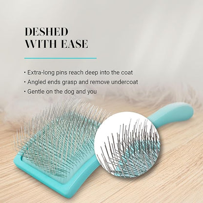 Chris Christensen Big G Dog Slicker Brush for Dogs (Goldendoodles, Labradoodles, Poodles), Groom Like a Professional, Fluff Detangle Style, Saves Time Energy, Teal, Medium