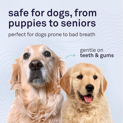 Petpost | Fresh Breath Foam for Dogs - Mint & Apple Flavored Dental Solution That Eliminates Bad Breath - Natural Tooth Cleaning Treatment 5 oz.