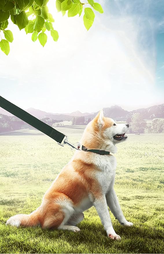 PETGOGO 15ft 20ft 30ft 40ft 50ft Long Dog/Puppy Lead Obedience Recall Training Dog Leashes for Small Medium Dogs Camping, Training, Play, or Backyard (50 FT, Green)