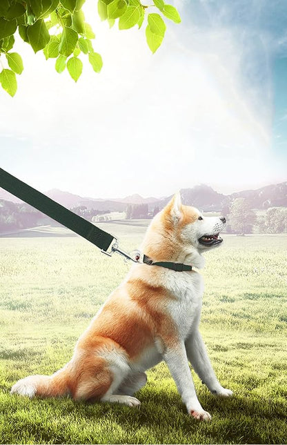 PETGOGO 15ft 20ft 30ft 40ft 50ft Long Dog/Puppy Lead Obedience Recall Training Dog Leashes for Small Medium Dogs Camping, Training, Play, or Backyard (Green, 1" x 15FT)