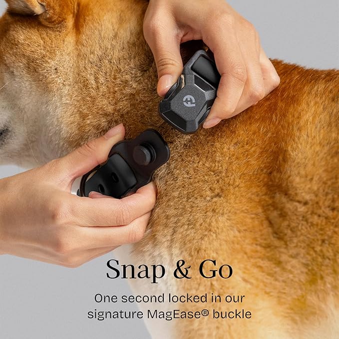 2026 New Edition, Fei & Eve PVC MagEase Dog Collar - Patented Magnetic Buckles | Fur-Safe | 450LB Escape-Proof | Adjustable Fit | Small (Black)