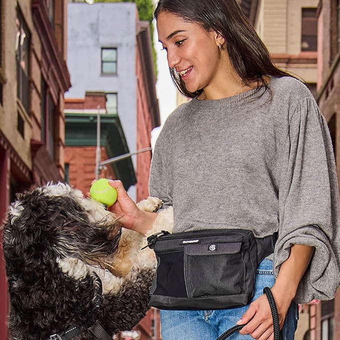 Cleverpup, Dog Walk & Train Sling Bag - Hands-Free 2-In-1 Treat Pouch, Poop Bag Holder, Clicker, Phone Pocket - Crossbody/Fanny Pack, Adjustable Strap - Graphite
