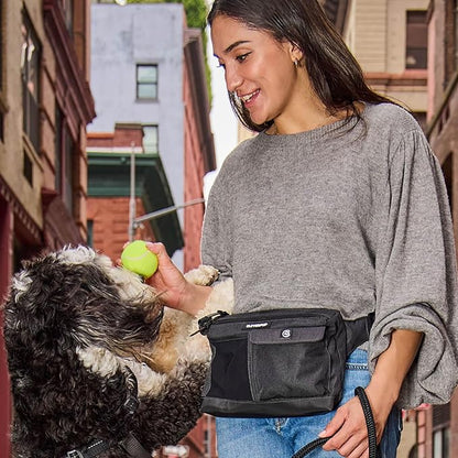 Cleverpup, Dog Walk & Train Sling Bag - Hands-Free 2-In-1 Treat Pouch, Poop Bag Holder, Clicker, Phone Pocket - Crossbody/Fanny Pack, Adjustable Strap - Graphite