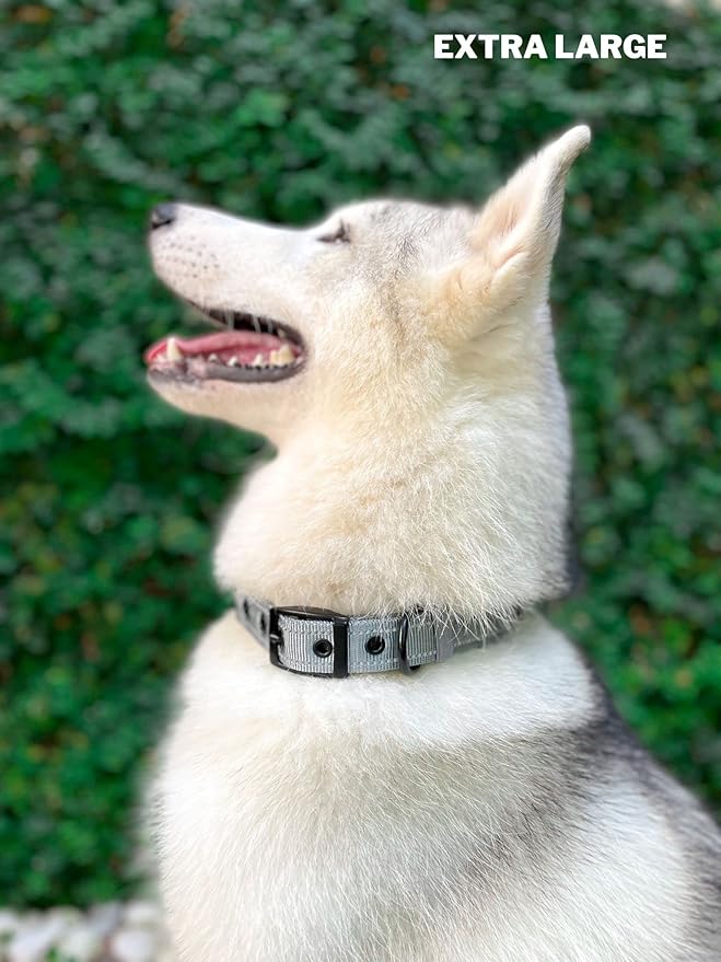 Tuff Pupper Heavy Duty Dog Collar with Handle | Ballistic Nylon Heavy Duty Collar | Padded Reflective Dog Collar with Adjustable Stainless Steel Hardware | Convenient Sizing for All Breeds