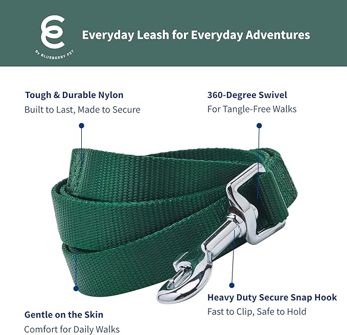 Blueberry Pet Essentials | Verdant Green Nylon Leash, 5ft x 3/4" | Lightweight & Durable for Training Standard Leashes & Lightweight for Training