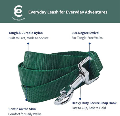 Blueberry Pet Essentials | Verdant Green Nylon Leash, 5ft x 3/4" | Lightweight & Durable for Training Standard Leashes & Lightweight for Training