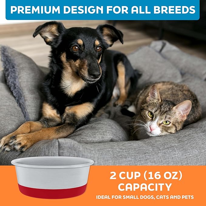 Master Pet Supply Stainless Steel Dog Bowls Set of 2 with Extra Thick Silicone Base - 2 Cup (16 oz) Crimson Red, Non-Slip, Dishwasher Safe Metal Bowls, Pet Dog Food Bowl for Dogs, Cats, Anti Rust