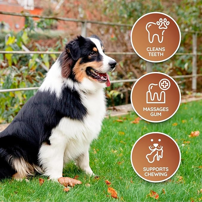 Wildfang® Leather Dog Toy, Large – Soft Dog Chew Toys for Gentle Chewers, Puppies, Senior or Older Dogs with Sensitive Teeth – Non-Toxic, Stuffless, 5mm Leather Bone for Dogs Over 33 lbs, Pack of 3