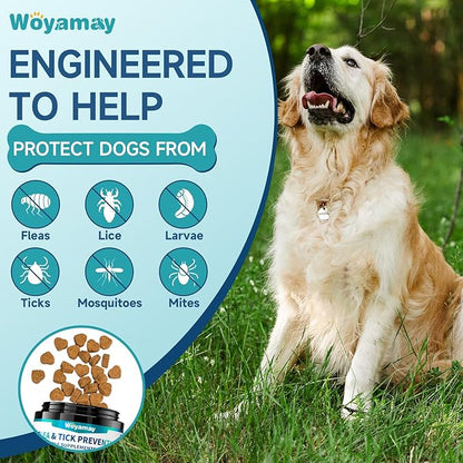 Woyamay Flea and Tick Prevention for Dogs Chewables, 200 Soft Treats, Natural Dog Flea and Tick Treatment, Oral Flea Chews for Dogs Supplement, Flea and Tick Chews for Dogs Puppies, All Breeds & Sizes