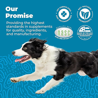 Vetnique Glandex Daily Probiotics for Dogs with Prebiotics to Support Gut Health with Fiber and Digestive Enzymes, Probiotic Chews or Powders (30ct Chews, Bacon Chews)
