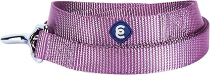 Blueberry Pet Essentials Purple Dog Leash for Medium - 5' * 3/4" Dogs | Heavy Duty Nylon Lead | Lightweight Puppy & Cat Leash for Walking & Training