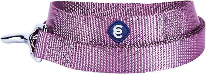 Blueberry Pet Essentials Purple Dog Leash for Small -5' * 5/8" Dogs | Heavy Duty Nylon Lead | Lightweight Puppy & Cat Leash for Walking & Training