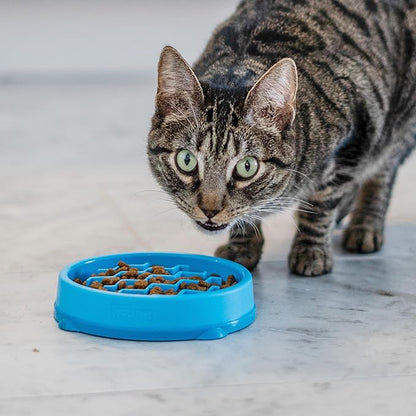 Catstages Kitty Slow Feeder Bowl for Cats & Small Dogs, Puzzle Dish for Fast Eaters, for Wet or Dry Food, Helps Slow Eating & Aid Digestion, Non-Slip, Made Without BPA, 3/4 Cup, 5-Inch, Blue